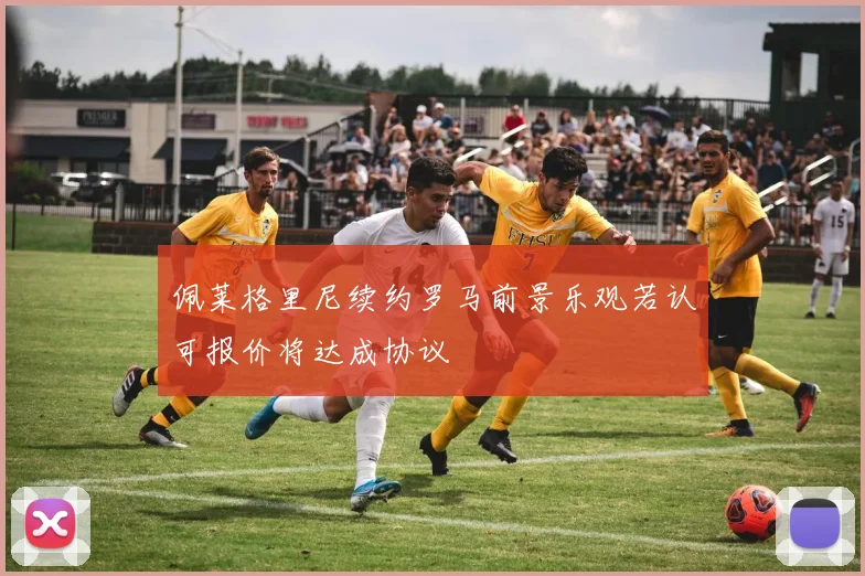 佩莱格里尼续约罗马前景乐观若认可报价将达成协议
