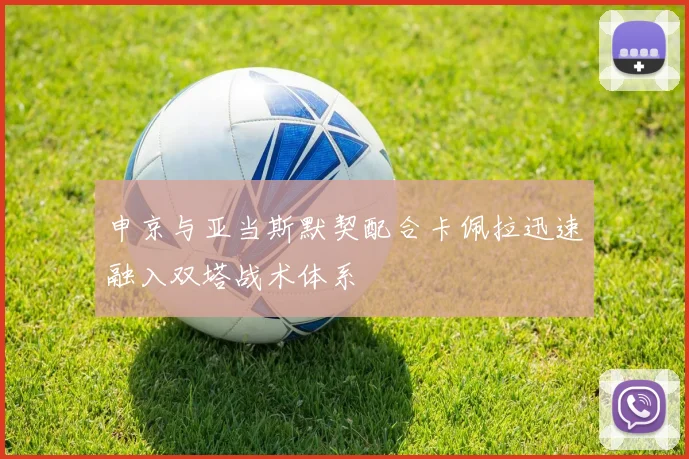 申京与亚当斯默契配合卡佩拉迅速融入双塔战术体系