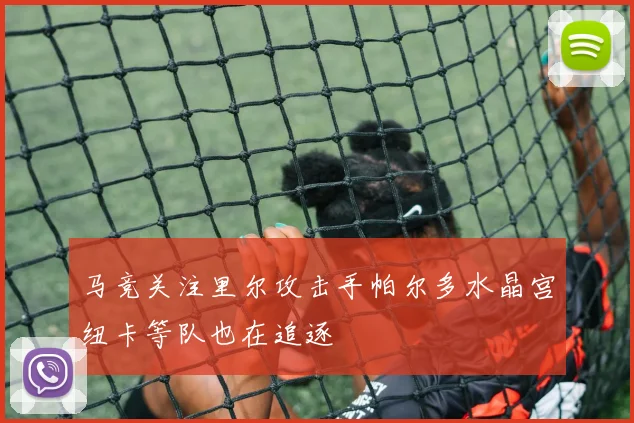 马竞关注里尔攻击手帕尔多水晶宫纽卡等队也在追逐