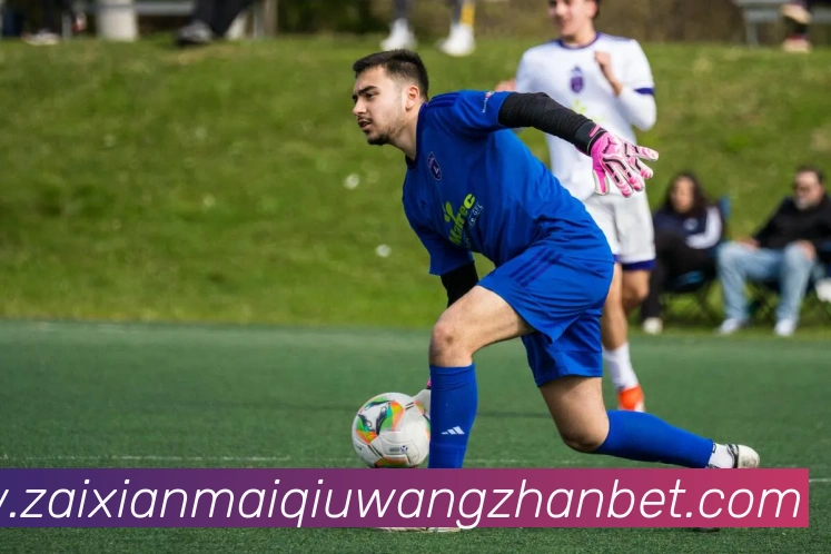 在线买球网站平台生态图