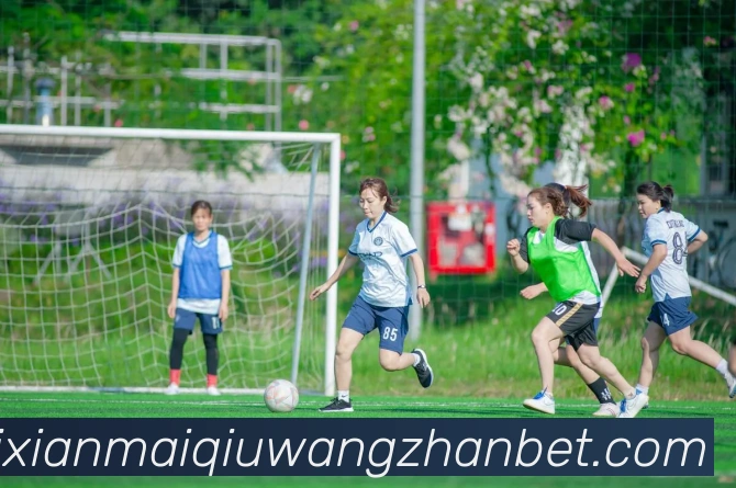 在线买球网站APP 封面图